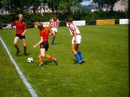 0DIA 1984 RAVA B1